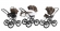 Коляска 3 в 1 Esspero Grand Classic (шасси Graphite) Royal Brown